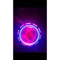 Led bi cầu gắn trong chóa siêu đẹp