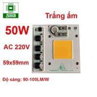 LED chiếu sáng 50W 220V Luxeon Trắng Ấm