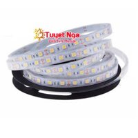 Led Dây 5050 Trắng Chống Nước