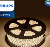 LED dây 8w philips 31162