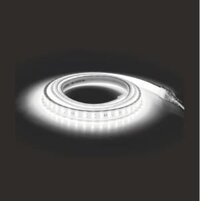 Led Dây Ánh Sáng Trắng, 2 dòng Led (50m/cuộn, 6W/m, IP65)