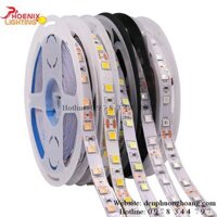Led dây dán 5054 12V – Đèn Phượng Hoàng