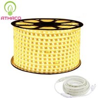 Led dây hắt trần 5730 2 hàng chéo cuộn 100m