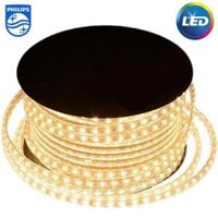 LED dây hắt trần Philips HLS168 50M 9W/m GM, cuộn 50m (chưa bao gồm zắc nguồn)