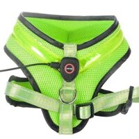 LED Dog Harness Light Up Adjustable Flashing Safety Belt