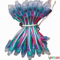 LED F8/12 FULL MÀU IC 8206 TỰ CHẠY HIỆU ỨNG
