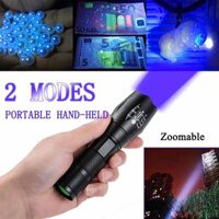 LED flashlight with purple and white dual light detection light