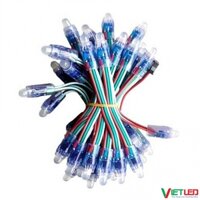 LED FULL MÀU F8 IC1903