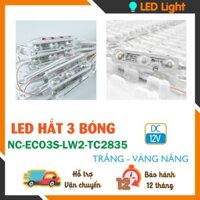 LED HẮT 3 BÓNG - 12V - DÂY 20 BÓNG