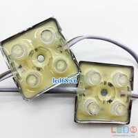 LED Hắt 4 Bóng HHX B35354