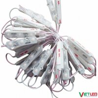 LED MODULE 3 BÓNG SAMSUNG SASO  MÀU VÀNG KIỂU DÁNG HÀN QUỐC IP68