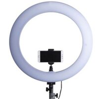 LED Video Ring Light Studio RL-18