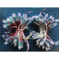 Led1903/bó50bóng dài 4m bản đẹp dây đồng