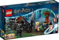 LEGO Harry Potter 76400 Cỗ xe Vong Mã Hogwarts