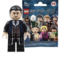 Lego minifigures harry potter