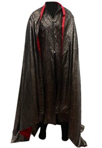 Legolas Costume for Men, Deluxe Halloween Elf Prince Cosplay Party Outfit Full Set with Cloak