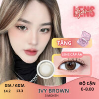 Lens cận 3 tháng dành cho mắt nhạy cảm IVY BROWN Gamilens (Giảm giá 35k khách hàng mới) Zlens