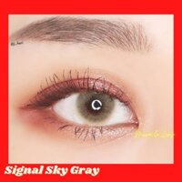 Lens hàn quốc Signal Sky Gray Kính áo tròng