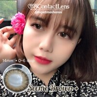 Lens Nâu Tự Nhiên Seeme Brown 14mm 0 Độ - Kính Áp Tròng Hàn Quốc Chính Hãng Vassen Sexy Me
