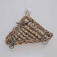 Leo Núi Thú Cưng Tam Giác Võng Chameleon Thằn Lằn Da Báo In Tắc kè Cảnh Quan Một Bộ Hermit Cua Lông Thằn Lằn Leo Núi