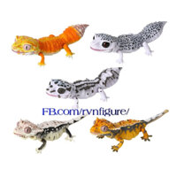 leopard gecko gashapon mô hình