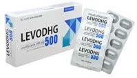 LevoDHG Levofloxacin 500mg DHG Hậu Giang (H/30v)