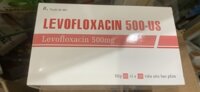 Levofloxacin 500mg – US (H/100v)