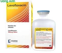 Levofloxacin/cooper 500mg/100ml - Thuốc điều trị viêm phế quản
