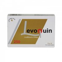 Levoquin 250 - Levofloxacin 250 mg