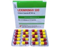 Lexinmingo 500 – Thuốc điều trị các trường hợp nhiễm khuẩn