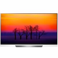 LG Smart TV OLED OLED55E8PTA