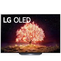 LG TV LG Smart OLED OLED55B1PTA