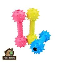 LHK - Đồ chơi Quả tạ gai chuông đinh cho chó