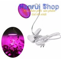 Libishop - Đèn led trồng cây trong nhà giúp cây phát triên