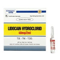 Lidocain 2% H100 ống VP