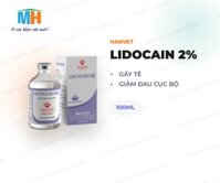 LIDOCAIN 2% (Thuốc gây tê, giảm đau)