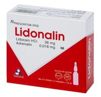 Lidonalin (Lidocain và Adrenalin) – Thuốc gây tê hiệu quả của VINPHACO (Hộp 2 vỉ x 5 ống x 1,8ml)