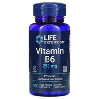 Life Extension Vitamin B6 250 mg 100 Vegetarian Capsules