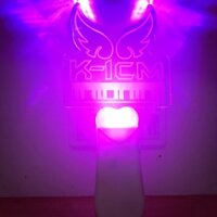 Lightstick k icm