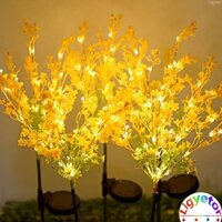 Ligyetor Đèn sân vườn năng lượng mặt trời Đèn hạt cải dầu chống nước cho sân vườn lối đi Bãi cỏ Trang trí Giáng sinh