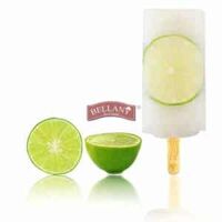 Lime Paletas Ice Cream, Bellany – 110ml/stick