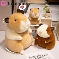 Limit PURE Guinea Pig Đồ chơi sang trọng Ins Trang trí nội thất dễ thương