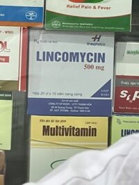 Lincomycin 500mg 200 viên