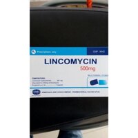 Lincomycin 500mg armephaco 100 viên