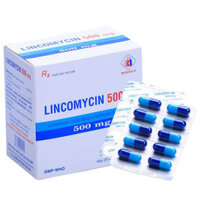 Lincomycin 500mg, điều trị nhiễm khuẩn do các khuẩn kháng penicillin