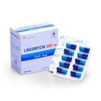 Lincomycin 500Mg H/200 – vỉ