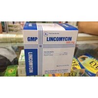 Lincomycin 500mg Nghệ An 100 viên