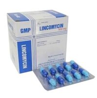 Lincomycin 500mg Nghệ An điều trị các loại nhiễm khuẩn