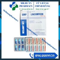 Lincomycin 500mg Nghệ An (Hộp 10 vỉ x 10 viên) – Kháng sinh Lincosamid điều trị nhiễm khuẩn tai mũi họng
