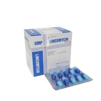 Lincomycin 500mg nghệ an (h/100v)